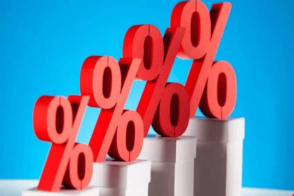 Mức lãi suất vay do các bên tự thỏa thuận nhưng không vượt quá 20%/năm 